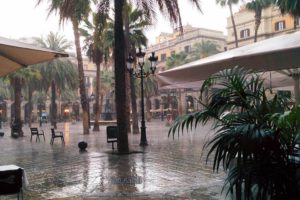 Place royale avec palmiers sous la pluie Barcelone.