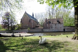 La place de la vigne (Wijngaardplein) et ses cygnes à Bruges