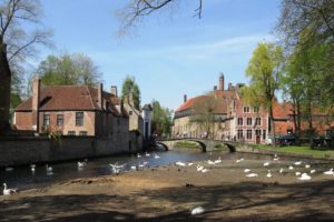 La place de la vigne (Wijngaardplein) et ses cygnes à Bruges