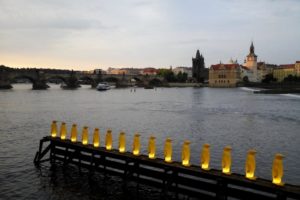 Pingouins jaunes sur la rive de la Vltava île Kampa Prague.