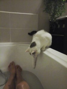 Chat qui veut mettre sa patte dans l'eau de la baignoire pendant mon bain
