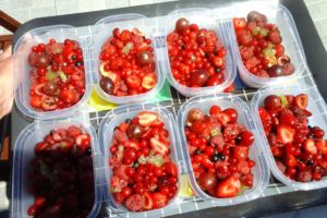 Mélange de fruits rouge du jardin mis en barquettes avant congéliation