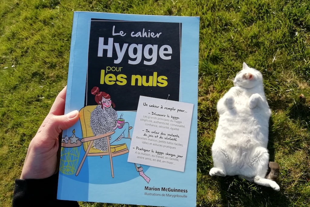 Livre le cahier hygge pour les nuls d e Marion MacGuinness.