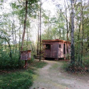 Cabane en bois du domaine des reflets bleus