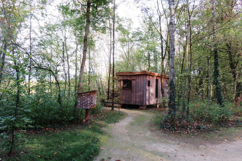 Cabane en bois du domaine des reflets bleus