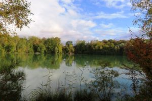 Vue sur l'étang domaine des reflets bleus.