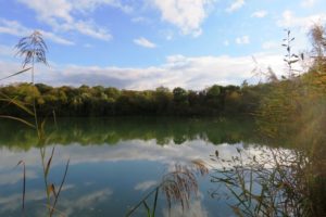 Vue sur l'étang domaine des reflets bleus.