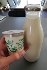 Bouteille de lait et yaourt nature