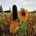 Photo d'une femme vêtue d'une robe jaune dans un champ de tournesols