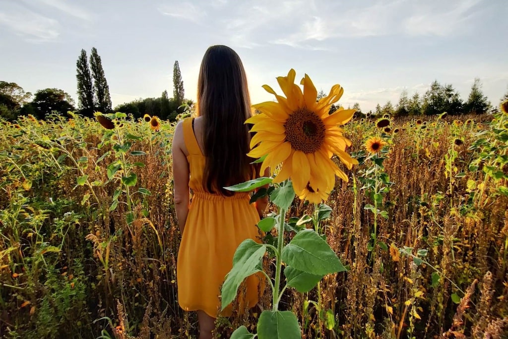 Photo d'une femme vêtue d'une robe jaune dans un champ de tournesols