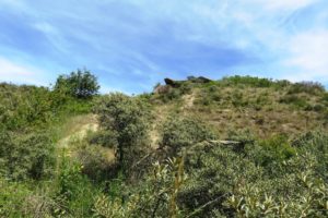 Blockaus sentier de la dune Marchand à Zuydcoote