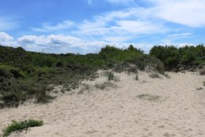 Dune du circuit de la dune Marchand à Zuydcoote