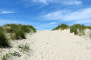 Dune du circuit de la dune Marchand à Zuydcoote