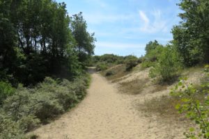 Circuit de la dune Marchand à Zuydcoote