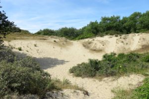 Circuit de la dune Marchand à Zuydcoote
