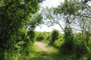 Circuit de la dune Marchand à Zuydcoote