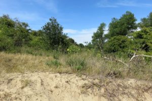 Circuit de la dune Marchand à Zuydcoote