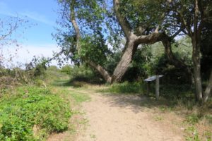 Circuit de la dune Marchand à Zuydcoote