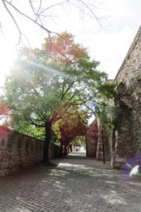 Chemin menant au château de Bratislava