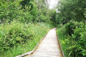 Balade au sein de la réserve naturelle régionale du marais de Condette