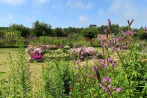 Jardins fleuris du château d'Hardelot