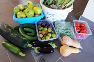 Récolte de fruits et légumes du jardin