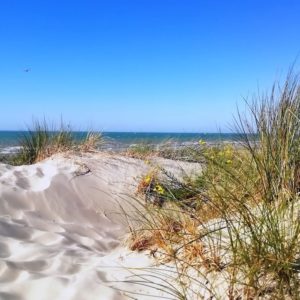 Dune avec la mer en arrière plan