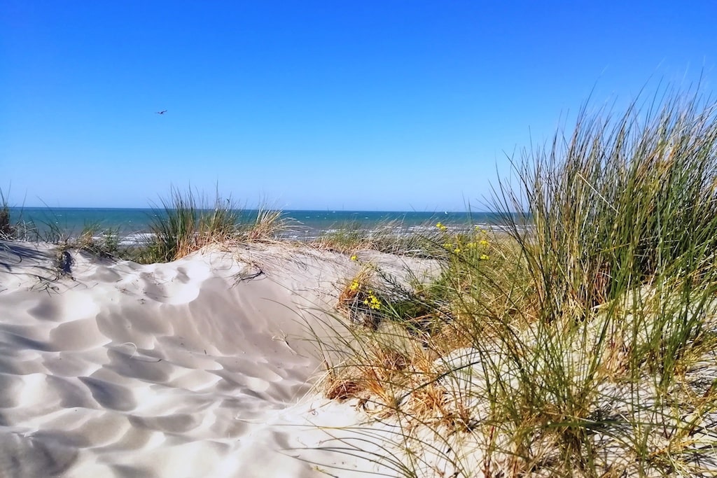 Dune avec la mer en arrière plan