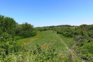 Paysages verdoyant sur le circuit de la dune Dewulf