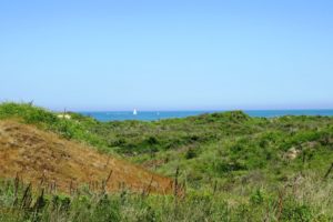 Dune Dewulf avec la mer et un voilier au loin