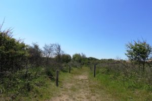 Sentier sur le circuit de la dune Dewulf