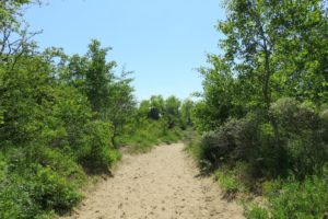 Chemin de sable du circuit la dune Dewulf