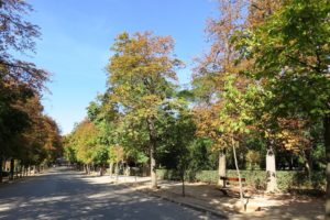 Verdure au parque del Retiro