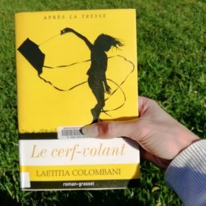 Livre Le cerf-volant de Laetita Colombani