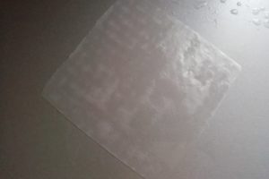 Feuille de riz réhydraté