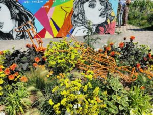 Jardin dédié aux cultures urbaines à Calais