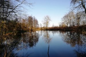 Lac dans le parc du château de Bernicourt à Roost-Warendin