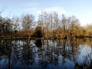 Lac dans le parc du château de Bernicourt à Roost-Warendin