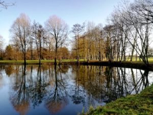 Lac dans le parc du château de Bernicourt à Roost-Warendin