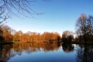 Lac dans le parc du château de Bernicourt à Roost-Warendin