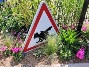 Jardin dédié aux cultures urbaines à Calais