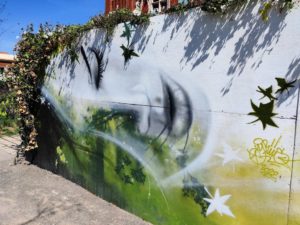 Jardin dédié aux cultures urbaines à Calais