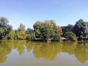 Lac dans le parc du château de Bernicourt