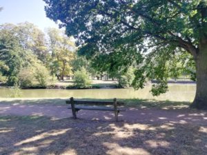 Banc dans le parc du château de Bernicourt
