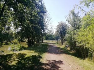 Sentier de marche dans le parc du château de Bernicourt