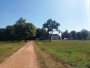Sentier de marche dans le parc du château de Bernicourt