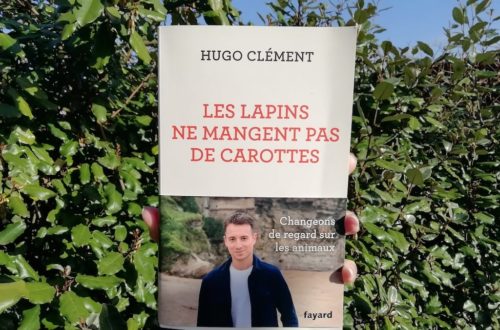 Livre Les lapins ne mangent pas de carottes de Hugo Clément