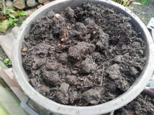 Seau de compost