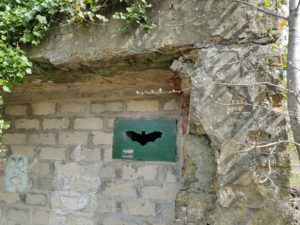 Abri à chauve-souris sur le circuit de la dune Fossile