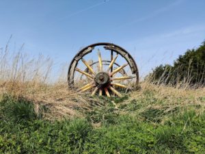 Ancienne roue sur le circuit de la dune Fossile